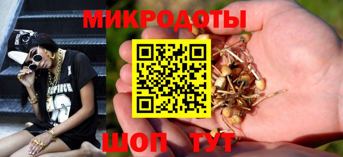 Скопин  Галлюциногенные грибы Psilocybe  Вход с VPN 